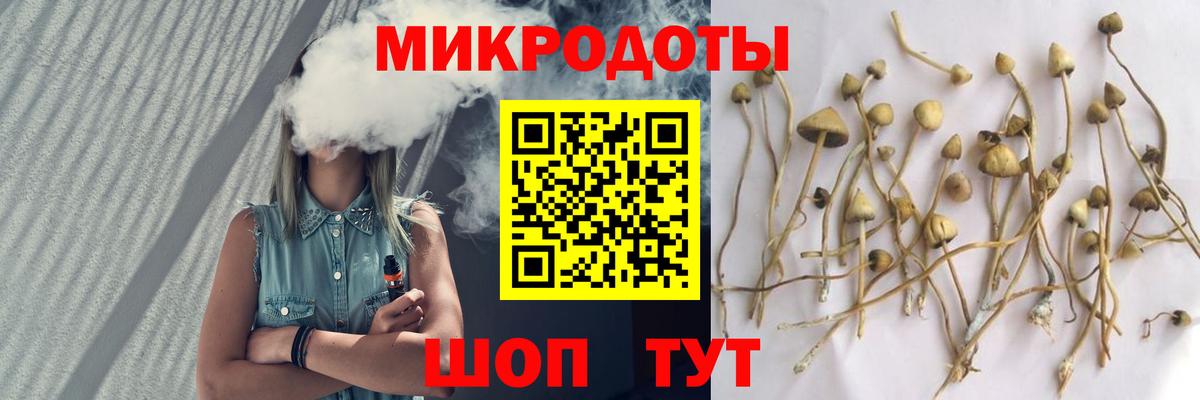 Галлюциногенные грибы мицелий Котельники